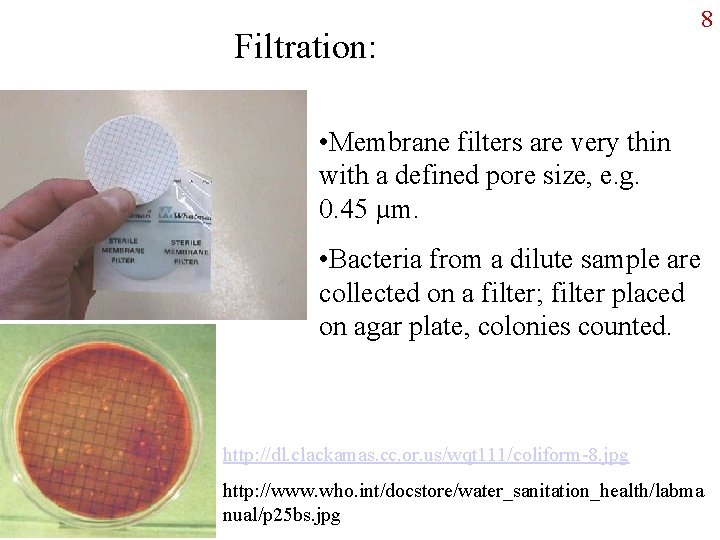 Filtration: 8 • Membrane filters are very thin with a defined pore size, e.