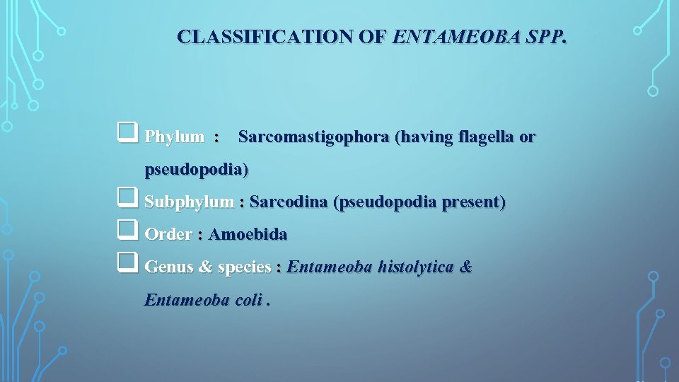 CLASSIFICATION OF ENTAMEOBA SPP. q Phylum : Sarcomastigophora (having flagella or pseudopodia) q Subphylum