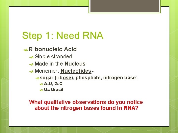 Step 1: Need RNA Ribonucleic Acid Single stranded Made in the Nucleus Monomer: Nucleotides