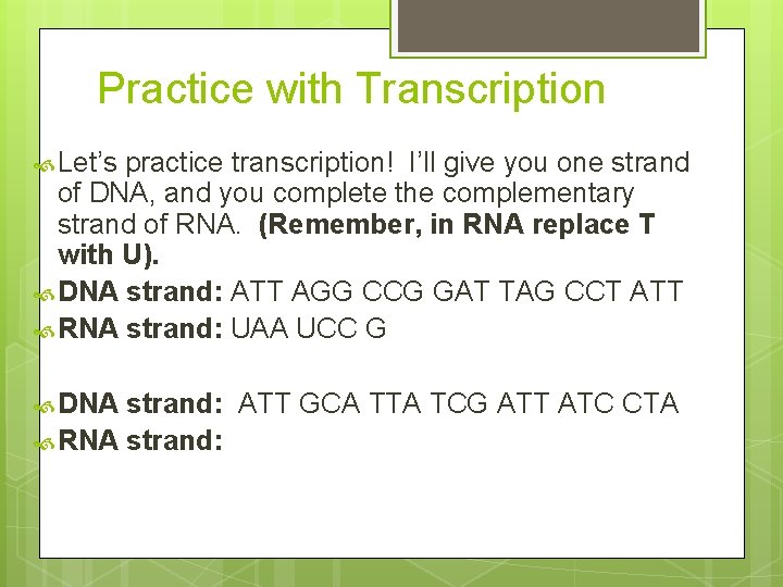 Practice with Transcription Let’s practice transcription! I’ll give you one strand of DNA, and