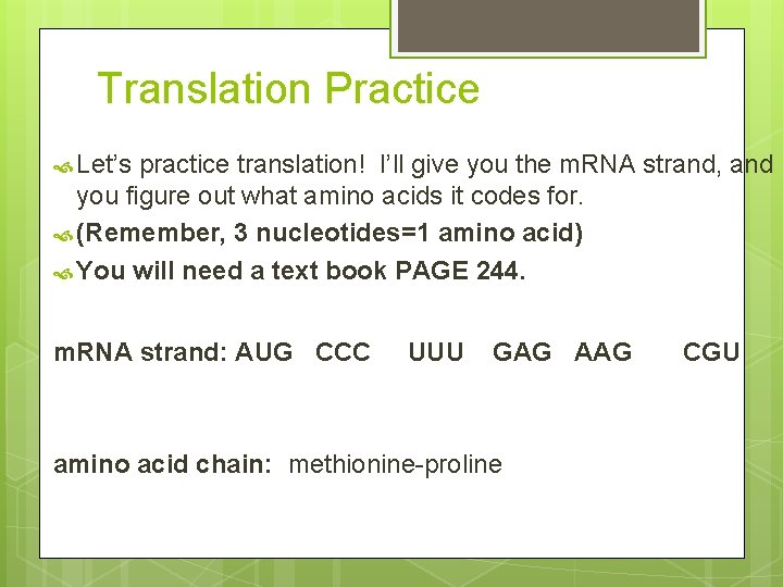Translation Practice Let’s practice translation! I’ll give you the m. RNA strand, and you