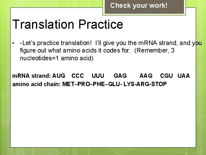 Check your work! Translation Practice • -Let’s practice translation! I’ll give you the m.