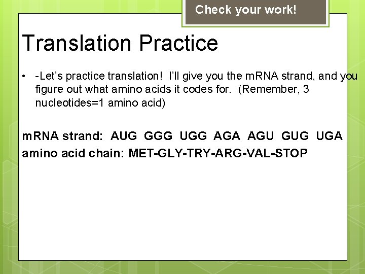 Check your work! Translation Practice • -Let’s practice translation! I’ll give you the m.