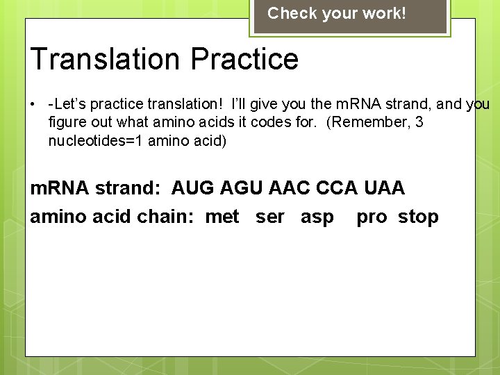 Check your work! Translation Practice • -Let’s practice translation! I’ll give you the m.