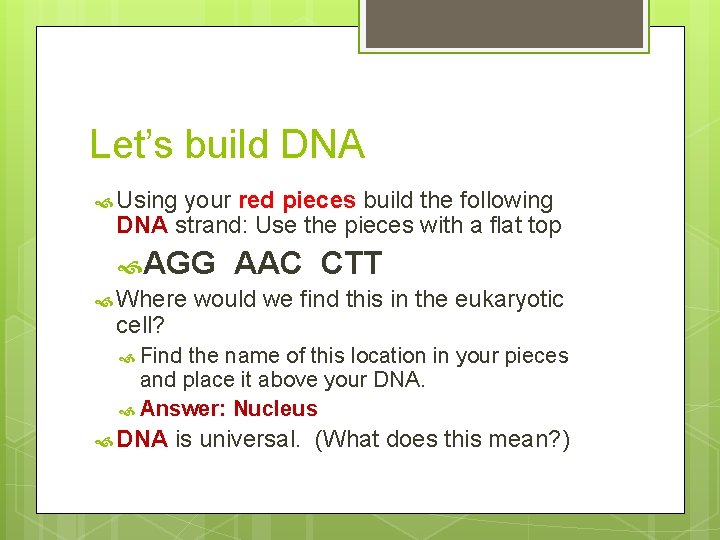 Let’s build DNA Using your red pieces build the following DNA strand: Use the