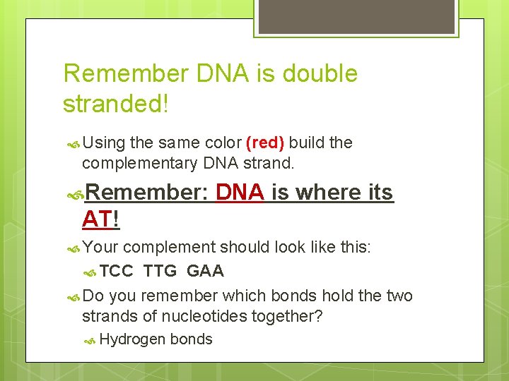 Remember DNA is double stranded! Using the same color (red) build the complementary DNA