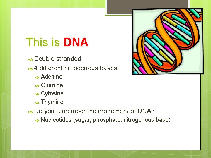 This is DNA Double stranded 4 different nitrogenous bases: Adenine Guanine Cytosine Thymine Do