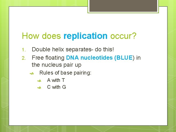 How does replication occur? 1. 2. Double helix separates- do this! Free floating DNA