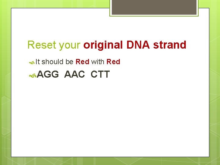 Reset your original DNA strand It should be Red with Red AGG AAC CTT