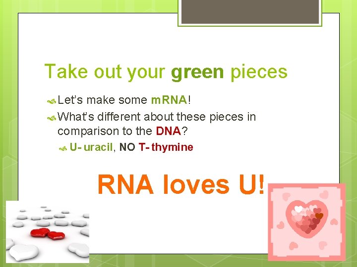 Take out your green pieces Let’s make some m. RNA! What’s different about these