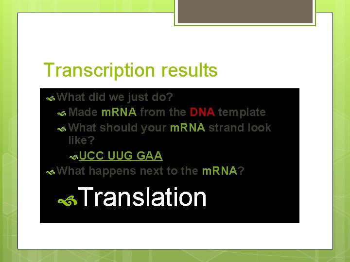 Transcription results What did we just do? Made m. RNA from the DNA template