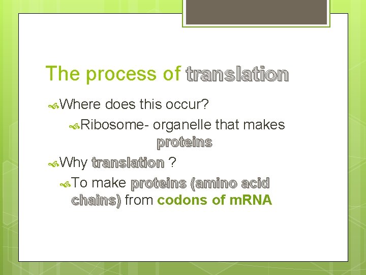 The process of translation Where does this occur? Ribosome- organelle that makes proteins Why