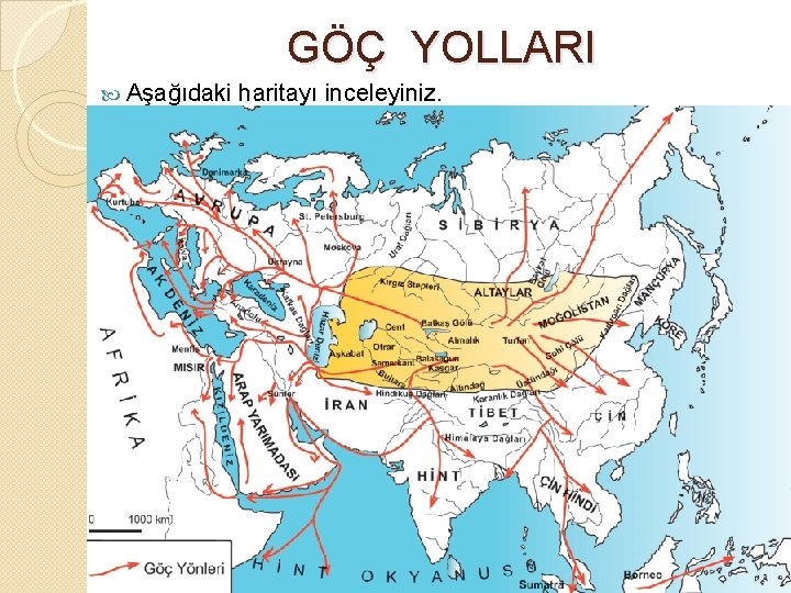 GÖÇ YOLLARI Aşağıdaki haritayı inceleyiniz. 