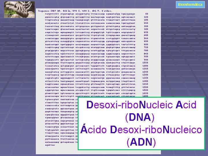 Bioinformática Sequence 2587 BP; 822 A; 575 C; 499 G; 691 T; 0 other;