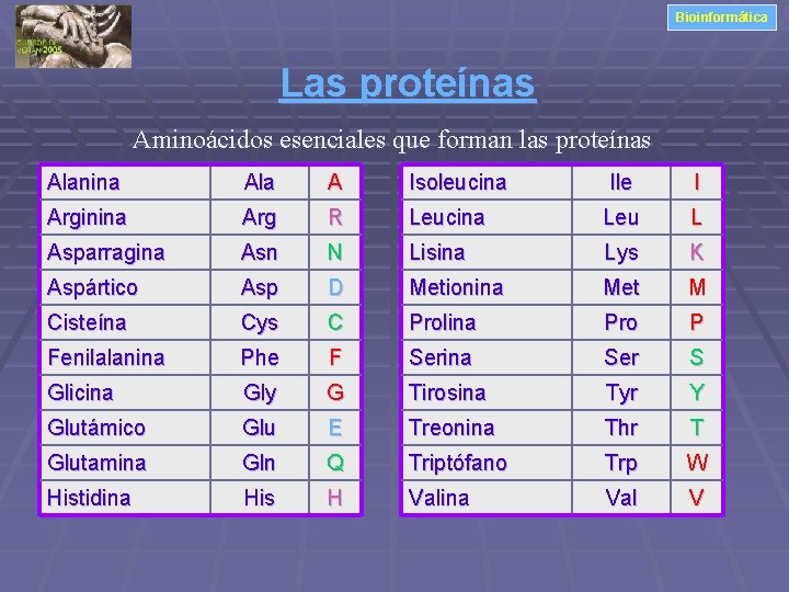 Bioinformática Las proteínas Aminoácidos esenciales que forman las proteínas Alanina Ala A Isoleucina Ile