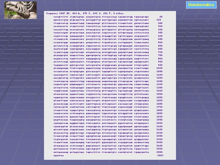 Bioinformática Sequence 2587 BP; 822 A; 575 C; 499 G; 691 T; 0 other;