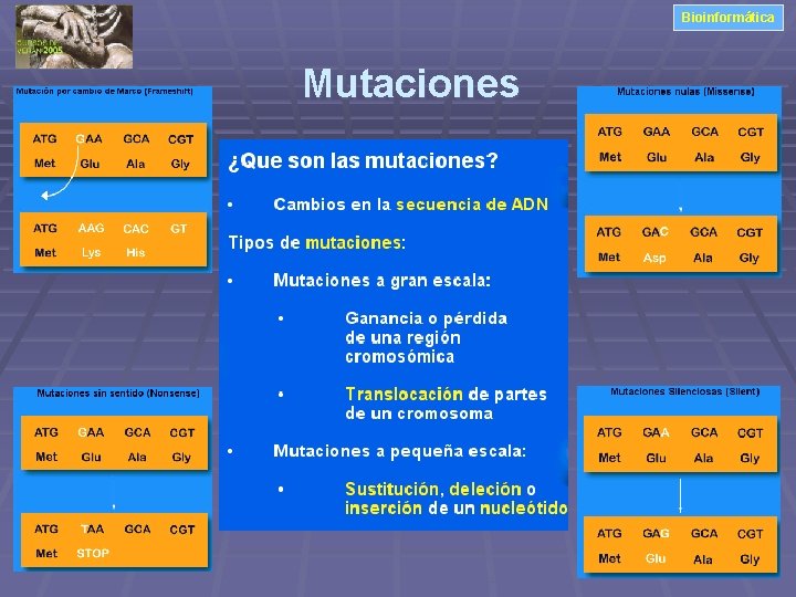 Bioinformática Mutaciones 