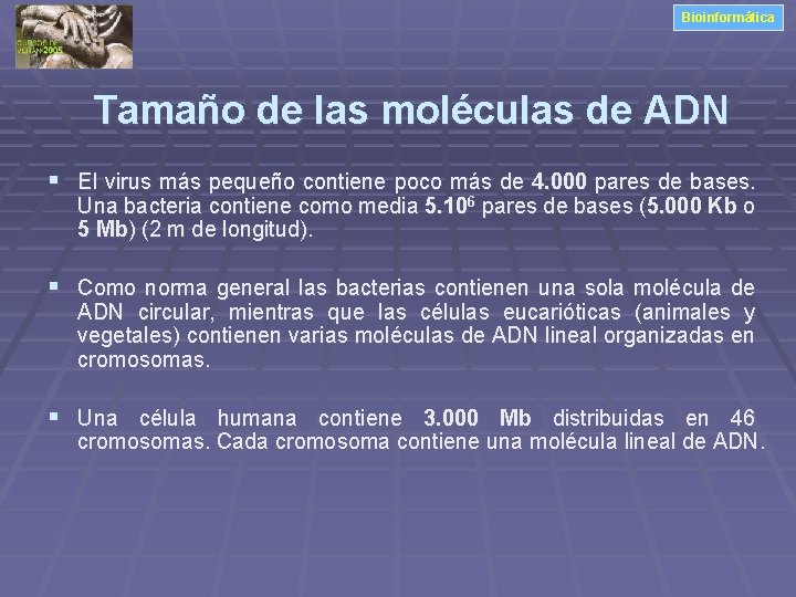 Bioinformática Tamaño de las moléculas de ADN § El virus más pequeño contiene poco