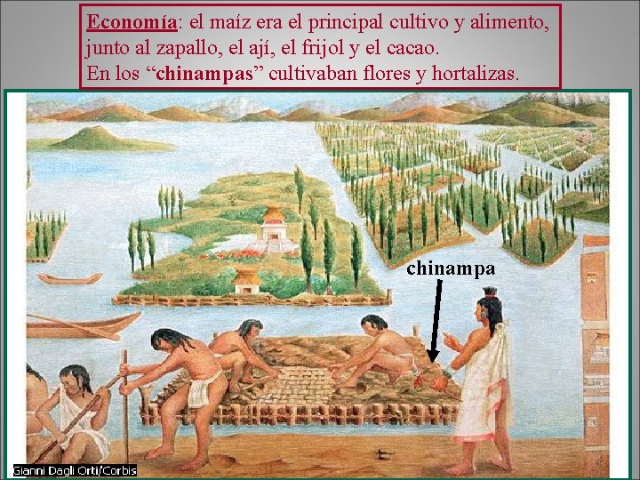 Economía: el maíz era el principal cultivo y alimento, junto al zapallo, el ají,