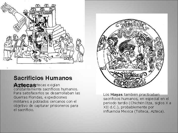 Sacrificios Humanos Los dioses Aztecas exigían Aztecas constantemente sacrificios humanos. Para satisfacerlos se desarrollaban