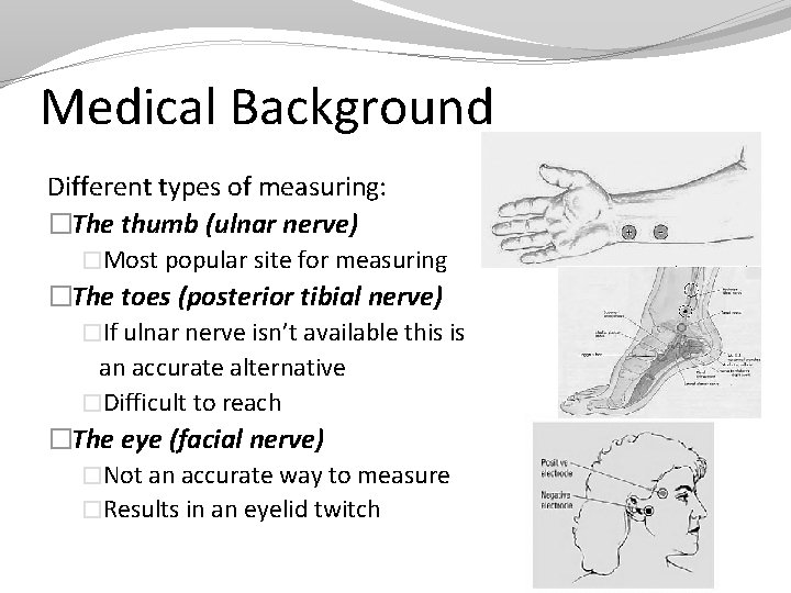 Medical Background Different types of measuring: �The thumb (ulnar nerve) �Most popular site for