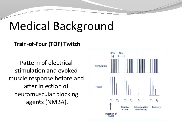 Medical Background Train-of-Four (TOF) Twitch Pattern of electrical stimulation and evoked muscle response before