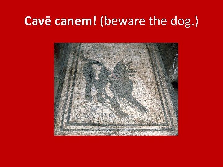 Cavē canem! (beware the dog. ) 