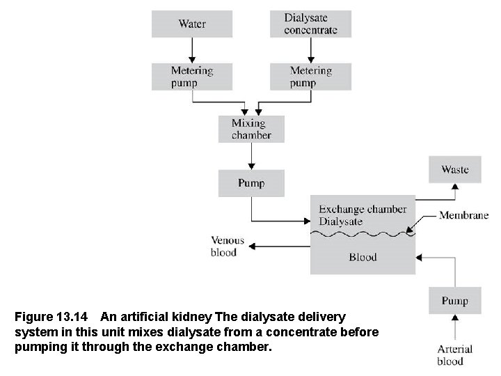 Figure 13. 14 An artificial kidney The dialysate delivery system in this unit mixes