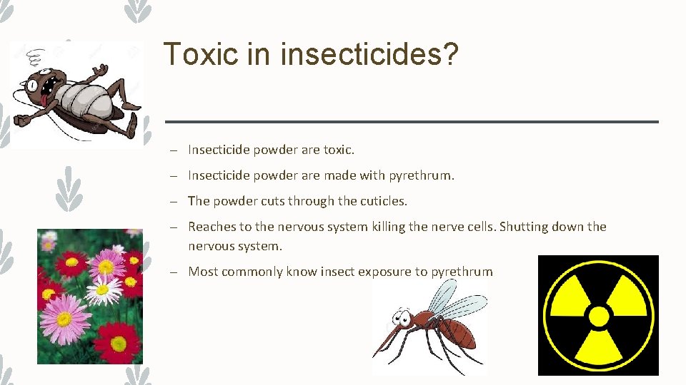 Toxic in insecticides? – Insecticide powder are toxic. – Insecticide powder are made with
