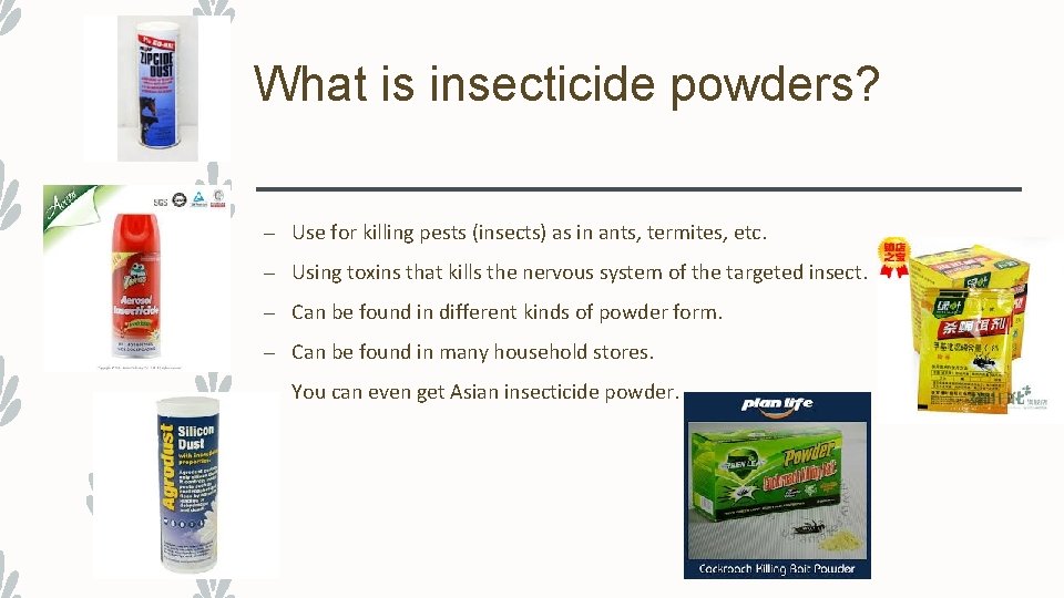 What is insecticide powders? – Use for killing pests (insects) as in ants, termites,