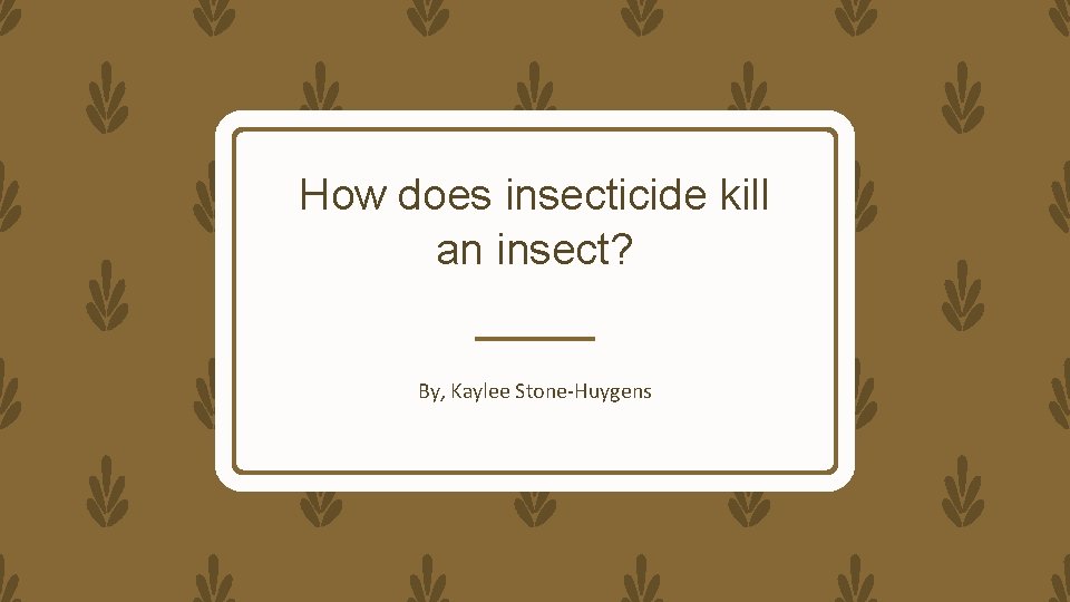 How does insecticide kill an insect? By, Kaylee Stone-Huygens 