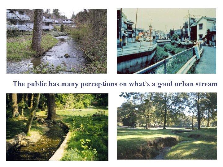 The public has many perceptions on what’s a good urban stream 