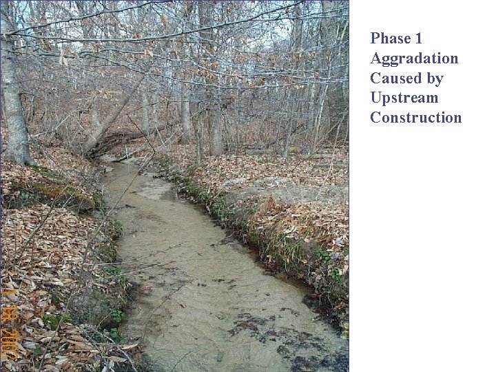 Or live in this soup? Phase 1 Aggradation Caused by Upstream Construction 