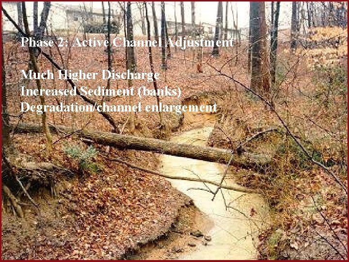 Phase 2: Active Channel Adjustment Much Higher Discharge Increased Sediment (banks) Degradation/channel enlargement 