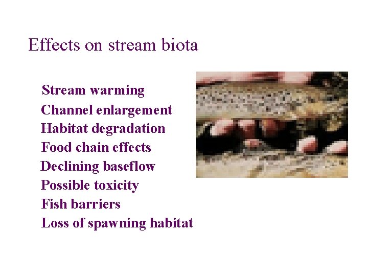 Effects on stream biota Stream warming Channel enlargement Habitat degradation Food chain effects Declining