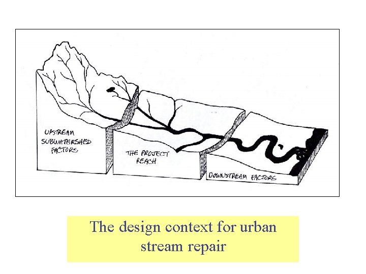 The design context for urban stream repair 