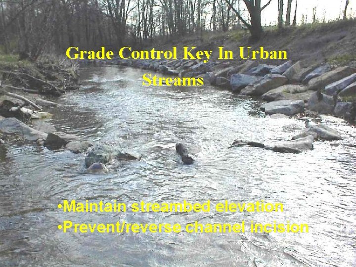 Grade Control Key In Urban Streams • Maintain streambed elevation • Prevent/reverse channel incision