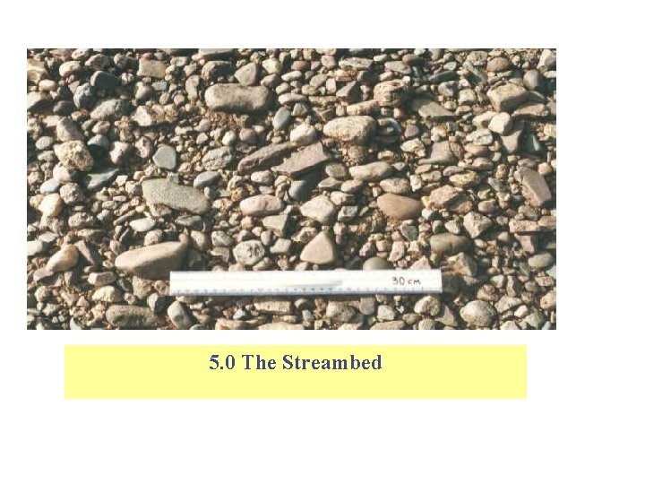 5. 0 The Streambed 