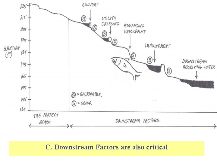 C. Downstream Factors are also critical 