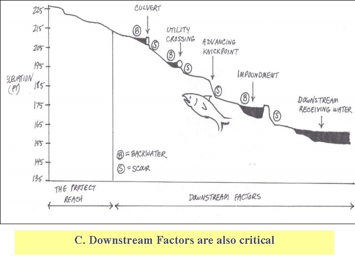 C. Downstream Factors are also critical 