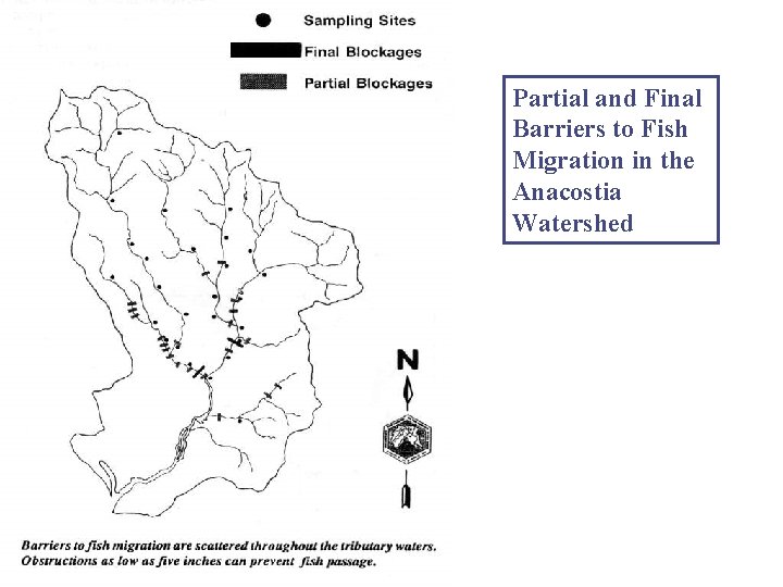 Partial and Final Barriers to Fish Migration in the Anacostia Watershed 