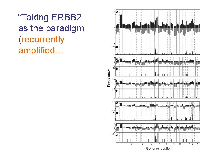 “Taking ERBB 2 as the paradigm (recurrently amplified… 