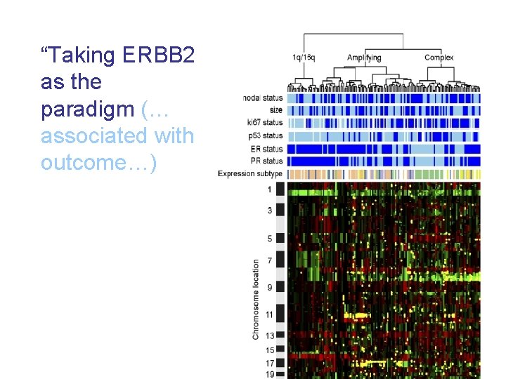 “Taking ERBB 2 as the paradigm (… associated with outcome…) 