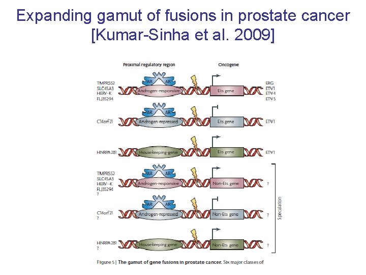 Expanding gamut of fusions in prostate cancer [Kumar-Sinha et al. 2009] 