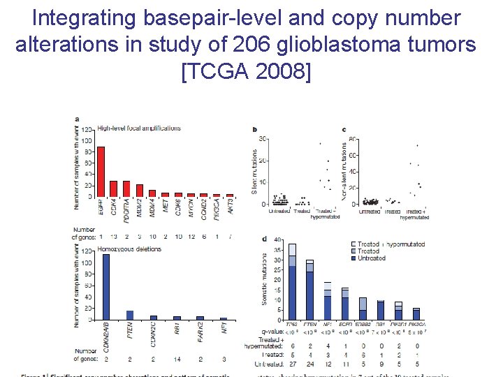 Integrating basepair-level and copy number alterations in study of 206 glioblastoma tumors [TCGA 2008]