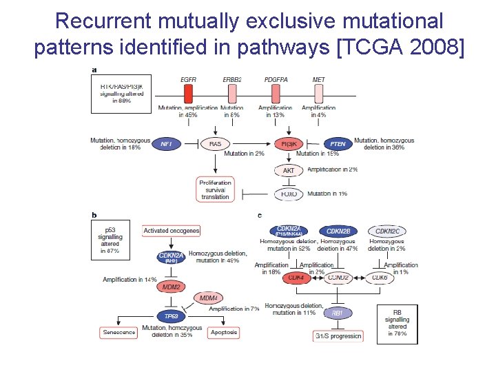 Recurrent mutually exclusive mutational patterns identified in pathways [TCGA 2008] 