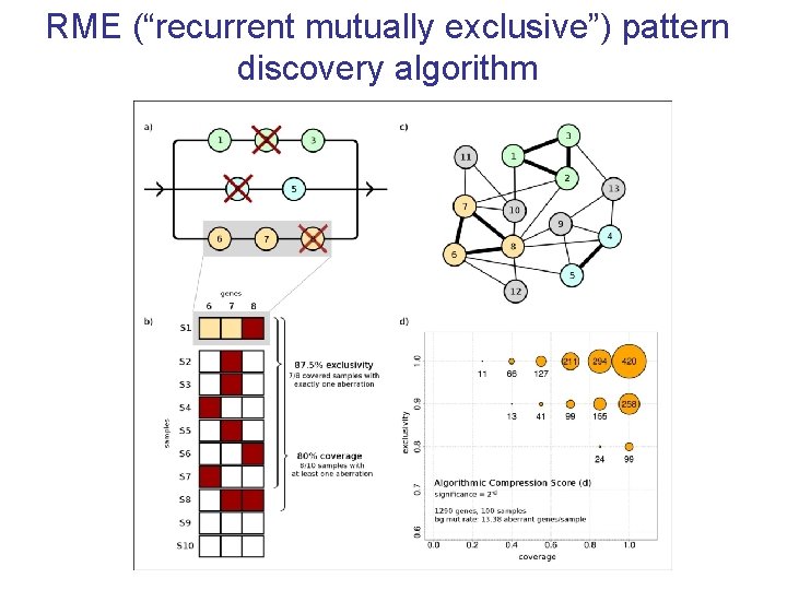 RME (“recurrent mutually exclusive”) pattern discovery algorithm 