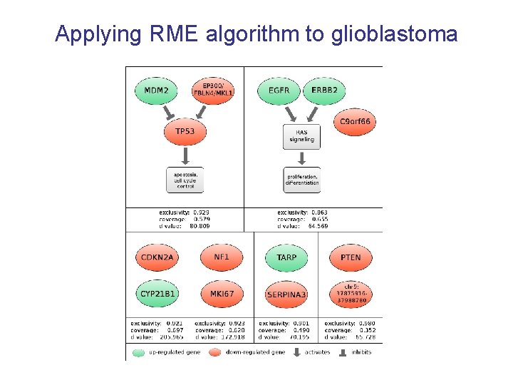 Applying RME algorithm to glioblastoma 