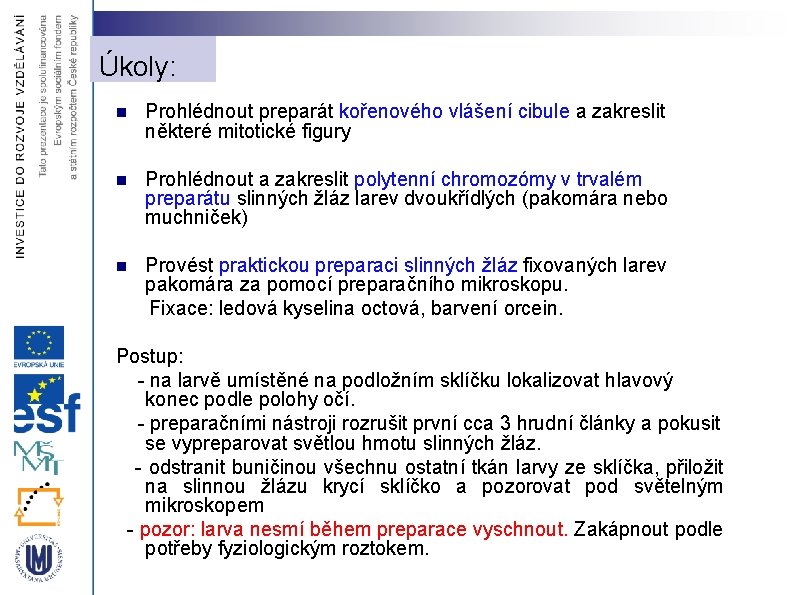 Úkoly: n Prohlédnout preparát kořenového vlášení cibule a zakreslit některé mitotické figury n Prohlédnout