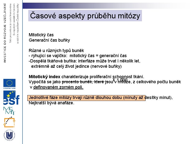 Časové aspekty průběhu mitózy Mitotický čas Generační čas buňky Různé u různých typů buněk